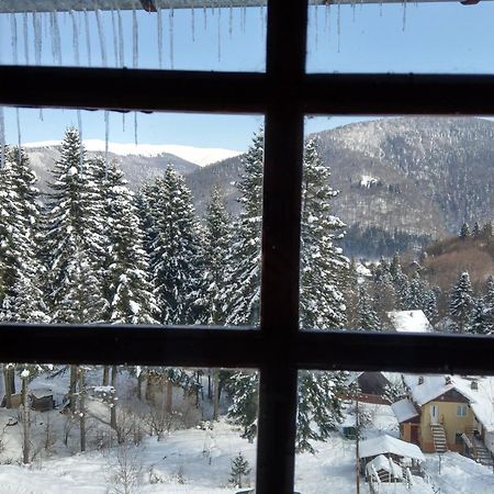 Grandpa'S Hidden Crib, 6 Bedroom, Pet Friendly Sinaia Dış mekan fotoğraf