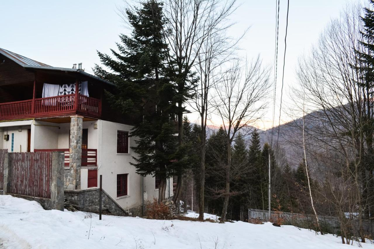 Grandpa'S Hidden Crib, 6 Bedroom, Pet Friendly Sinaia Dış mekan fotoğraf