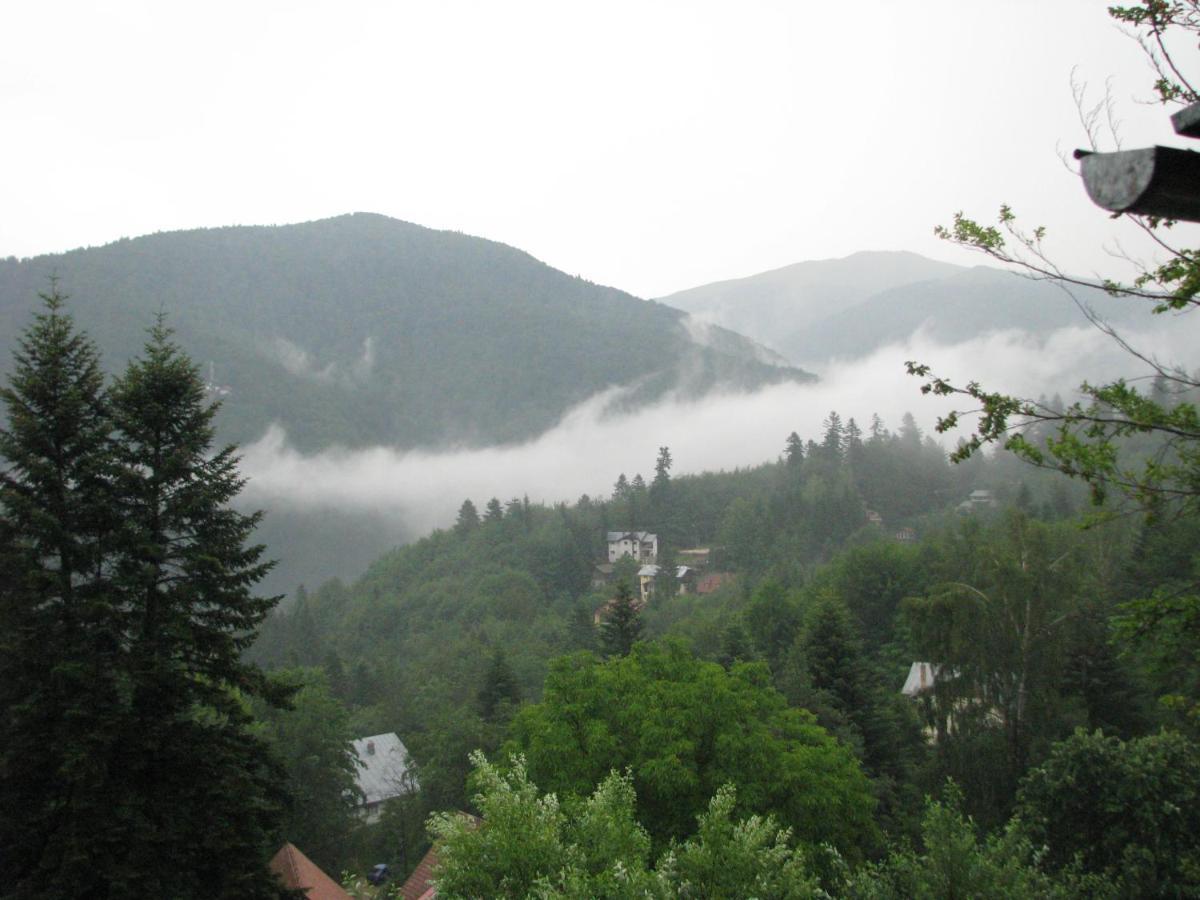Grandpa'S Hidden Crib, 6 Bedroom, Pet Friendly Sinaia Dış mekan fotoğraf