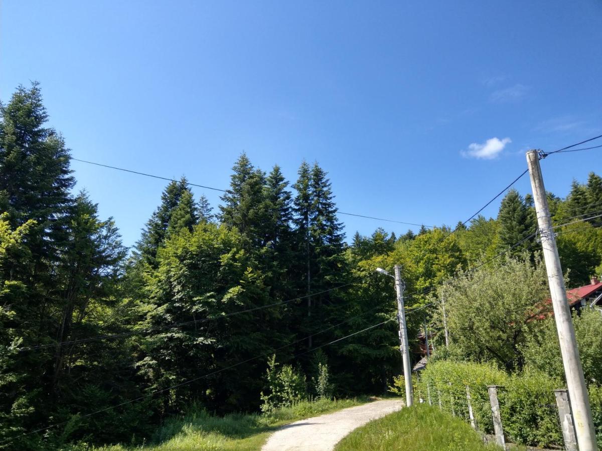 Grandpa'S Hidden Crib, 6 Bedroom, Pet Friendly Sinaia Dış mekan fotoğraf