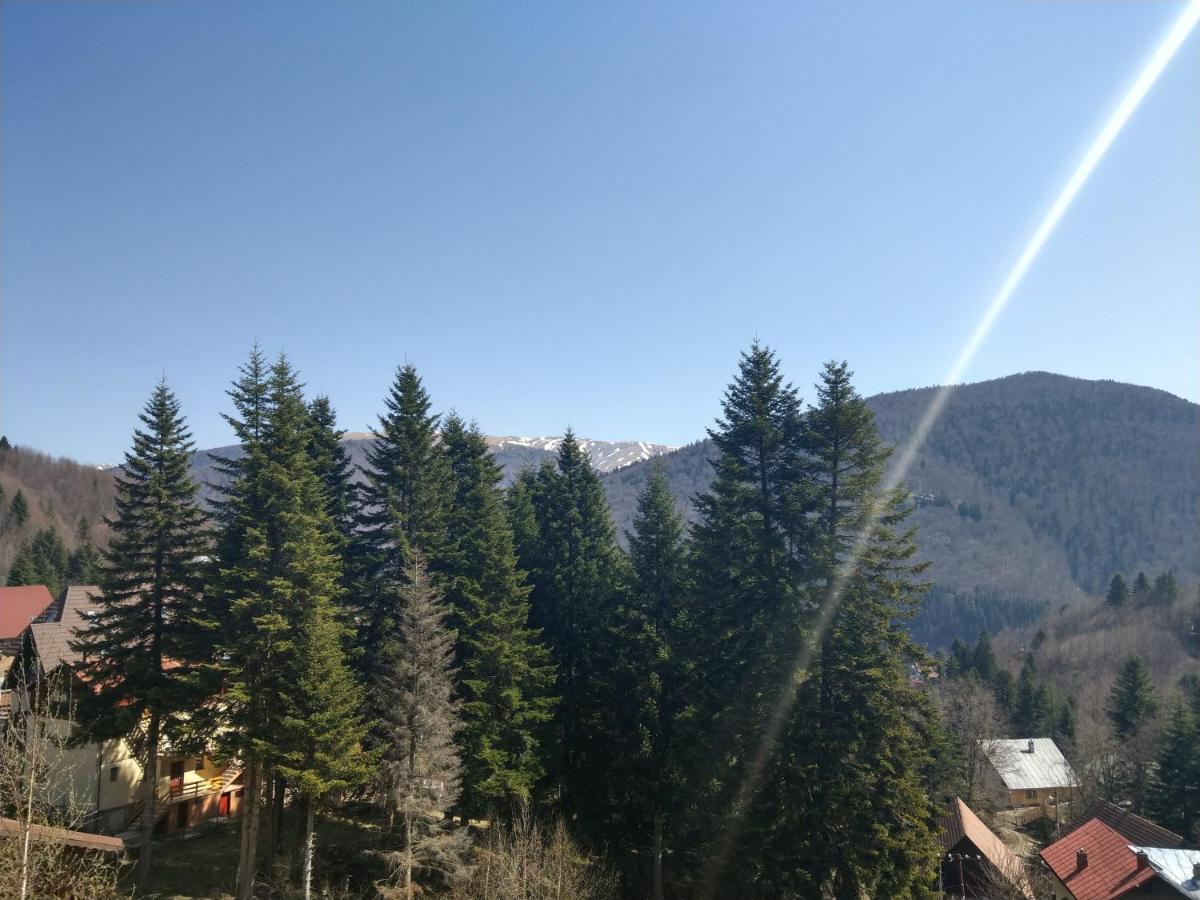 Grandpa'S Hidden Crib, 6 Bedroom, Pet Friendly Sinaia Dış mekan fotoğraf