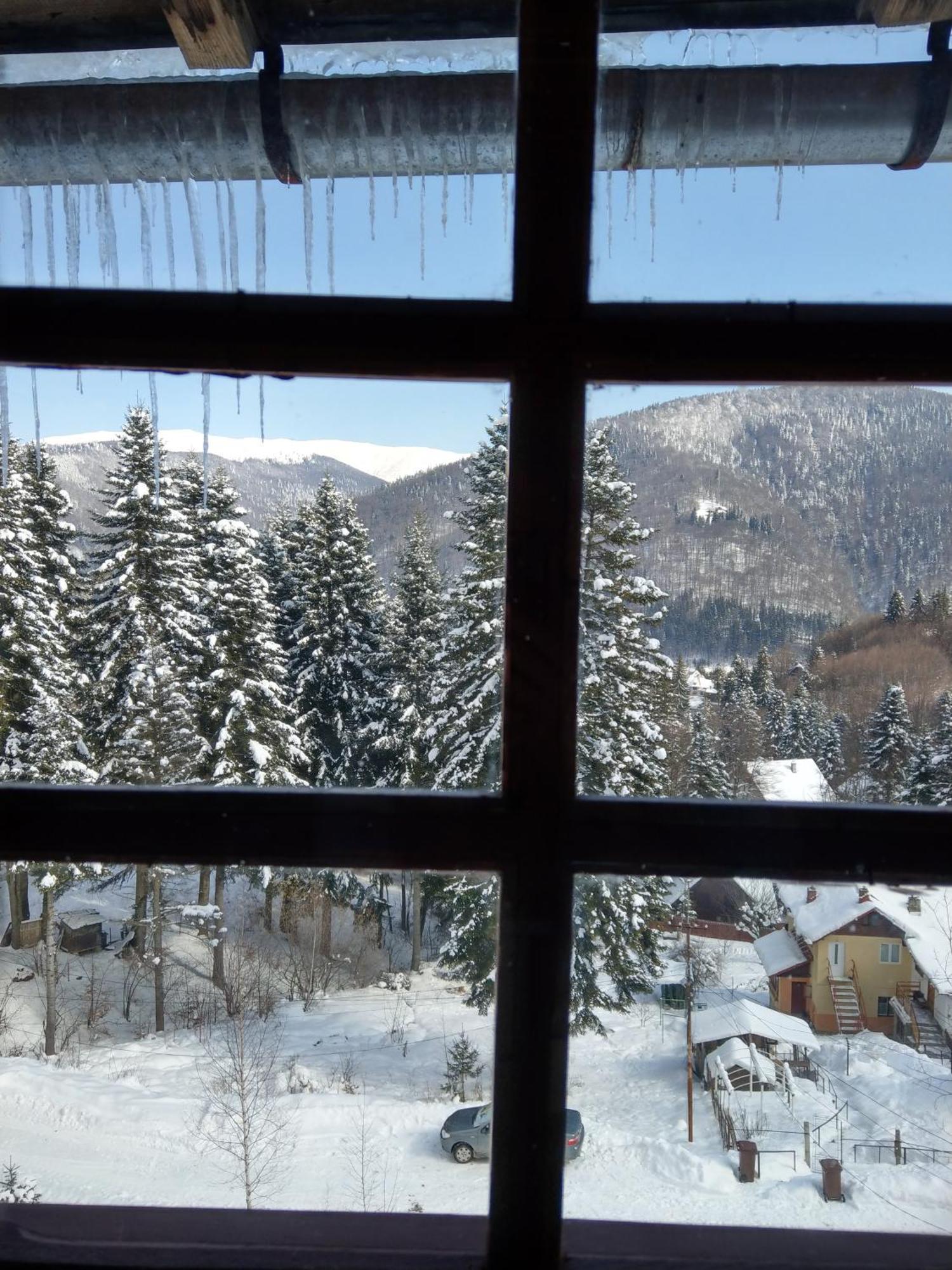 Grandpa'S Hidden Crib, 6 Bedroom, Pet Friendly Sinaia Dış mekan fotoğraf