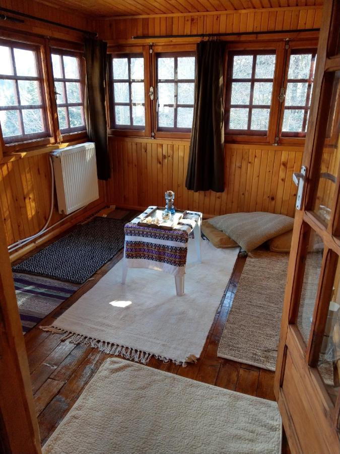 Grandpa'S Hidden Crib, 6 Bedroom, Pet Friendly Sinaia Dış mekan fotoğraf