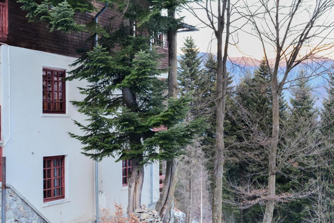 Grandpa'S Hidden Crib, 6 Bedroom, Pet Friendly Sinaia Dış mekan fotoğraf