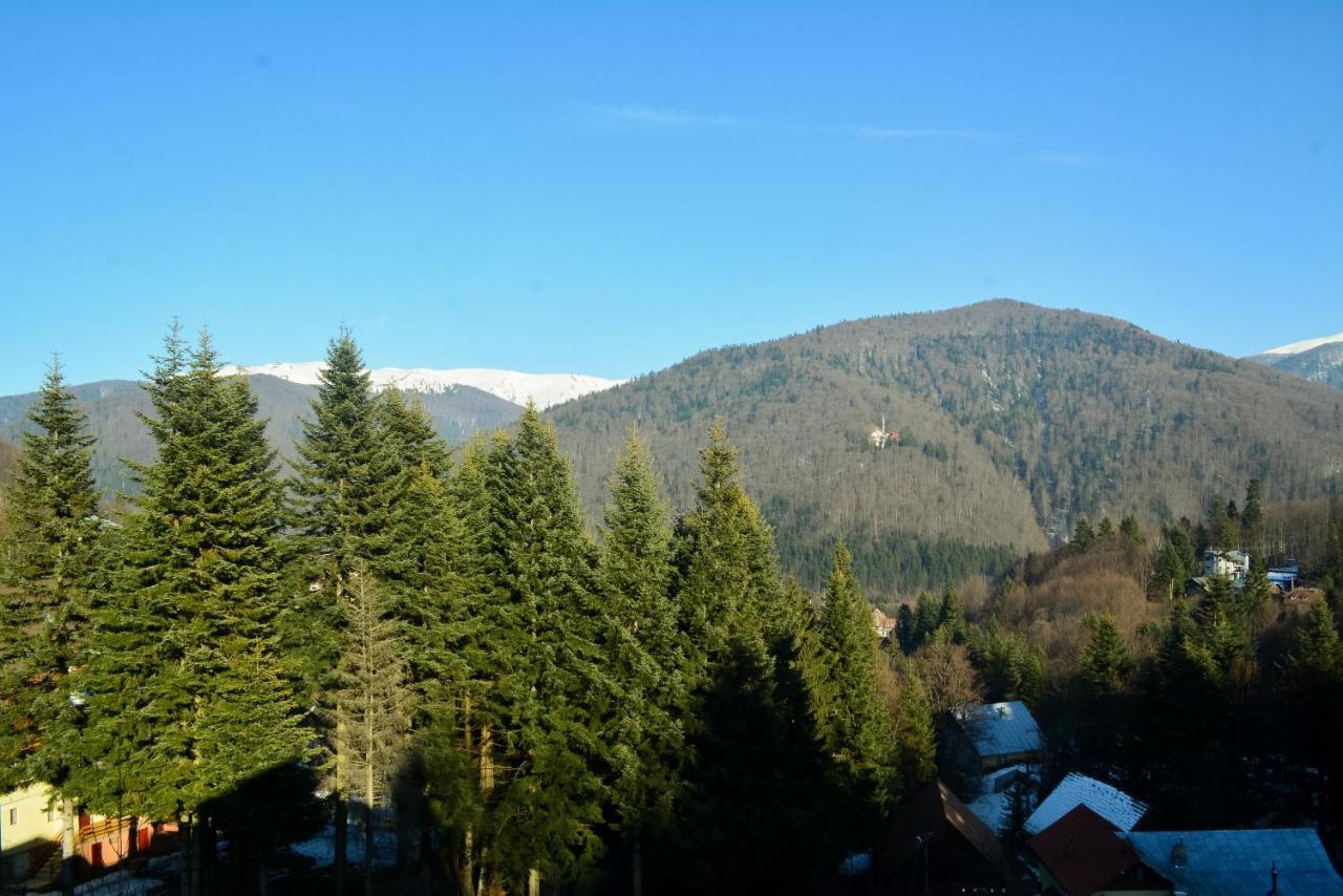 Grandpa'S Hidden Crib, 6 Bedroom, Pet Friendly Sinaia Dış mekan fotoğraf