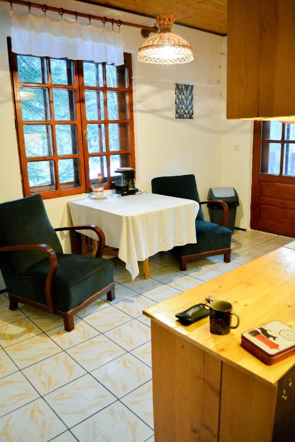 Grandpa'S Hidden Crib, 6 Bedroom, Pet Friendly Sinaia Dış mekan fotoğraf