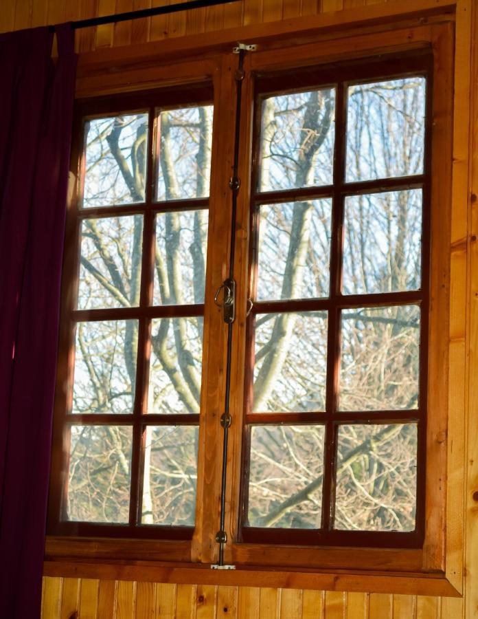 Grandpa'S Hidden Crib, 6 Bedroom, Pet Friendly Sinaia Dış mekan fotoğraf