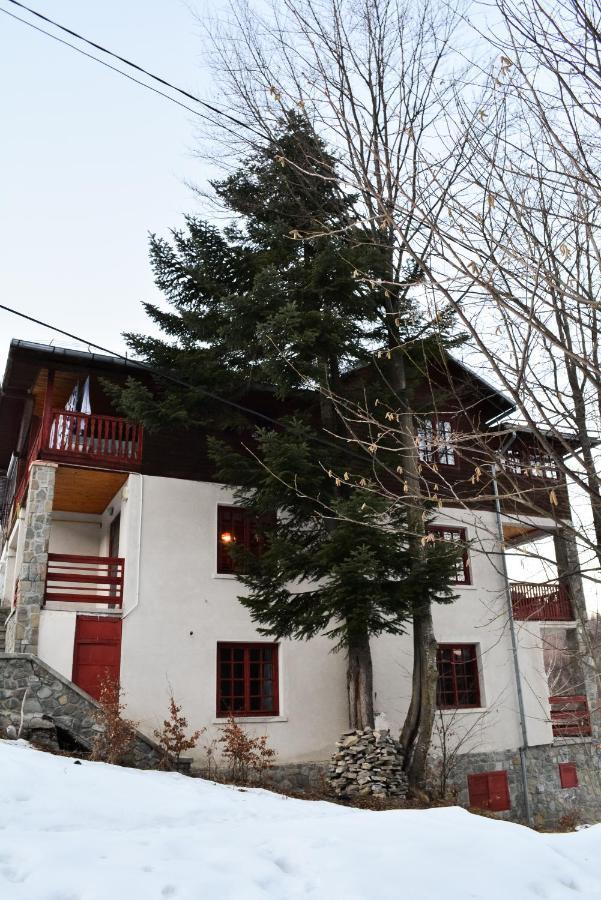 Grandpa'S Hidden Crib, 6 Bedroom, Pet Friendly Sinaia Dış mekan fotoğraf