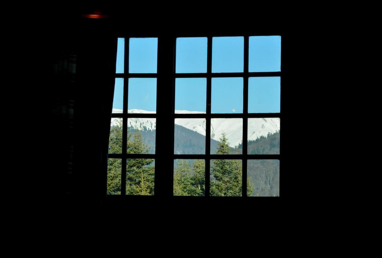 Grandpa'S Hidden Crib, 6 Bedroom, Pet Friendly Sinaia Dış mekan fotoğraf